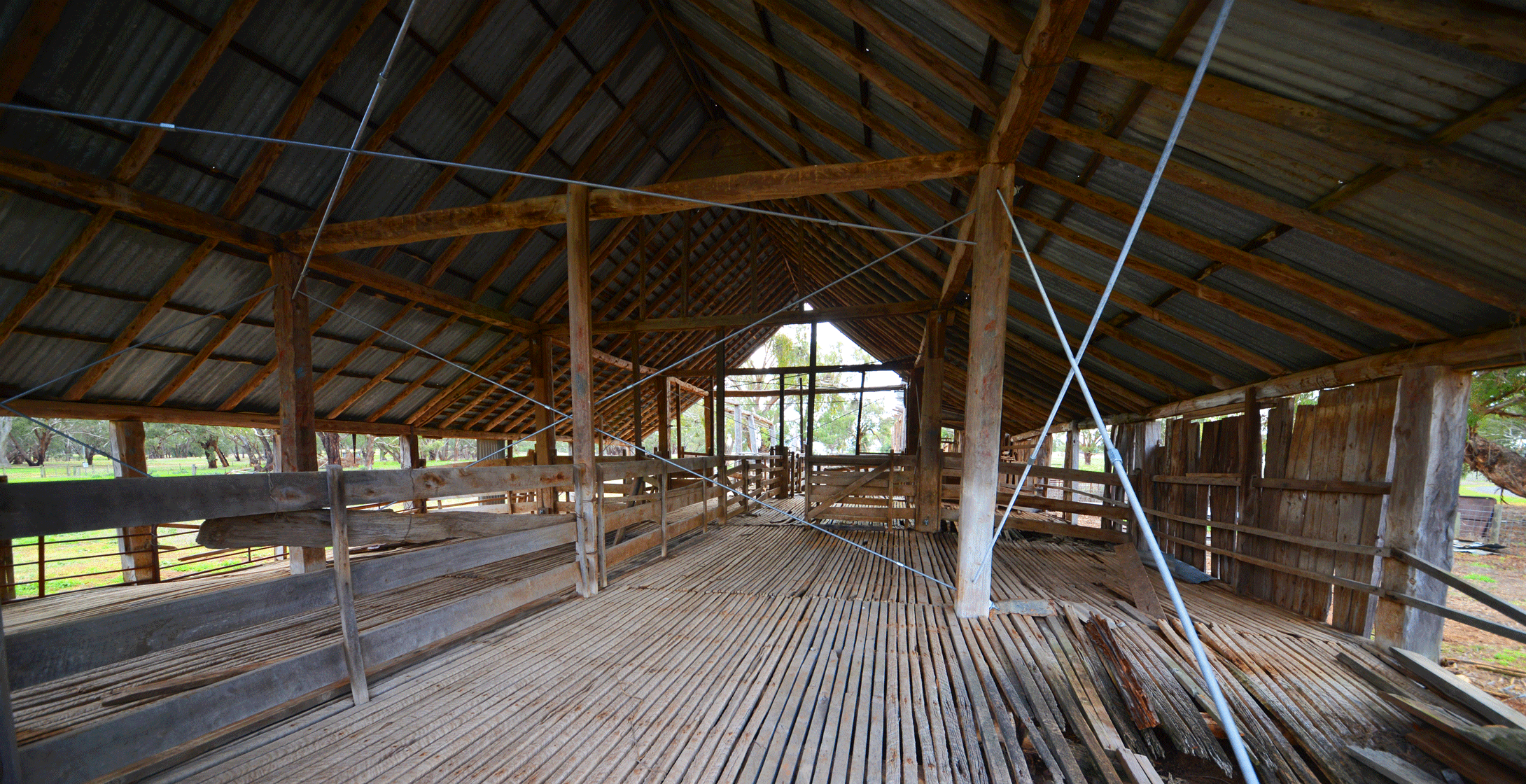 Photograph of dilapidated old shearing shed at Mulwala Homestead