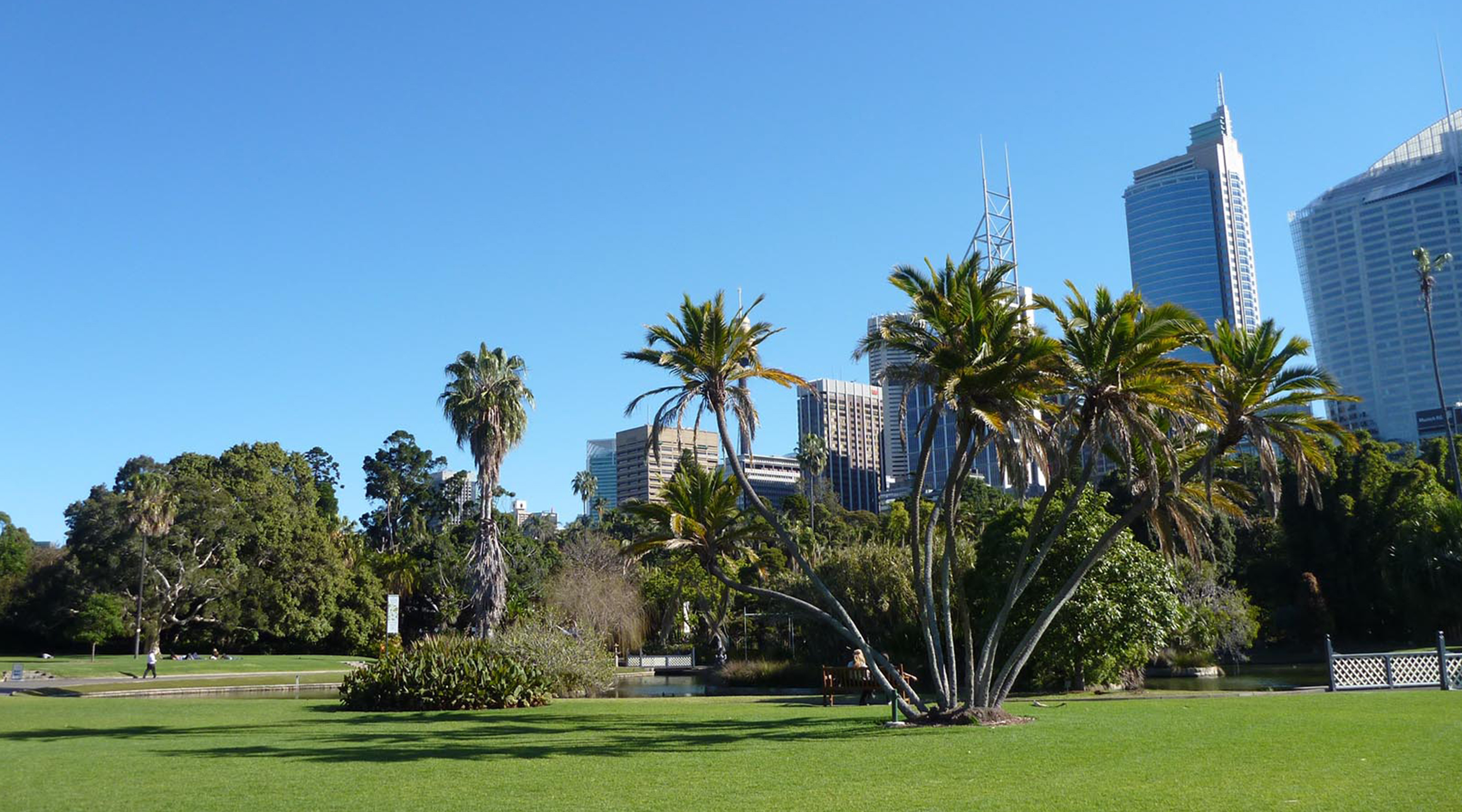 Botanic Gardens, Sydney