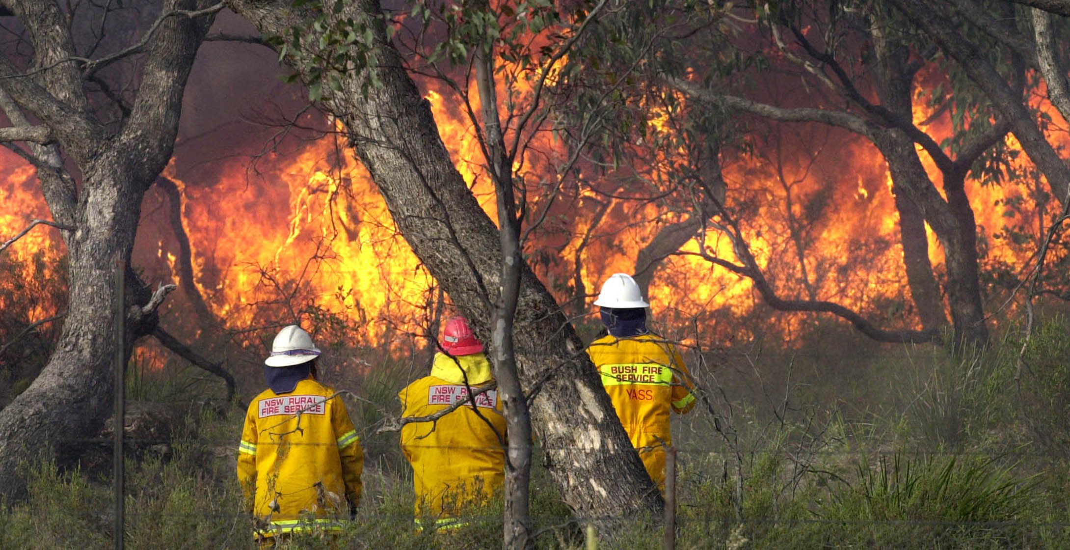 Firefighters in front of a bushfire