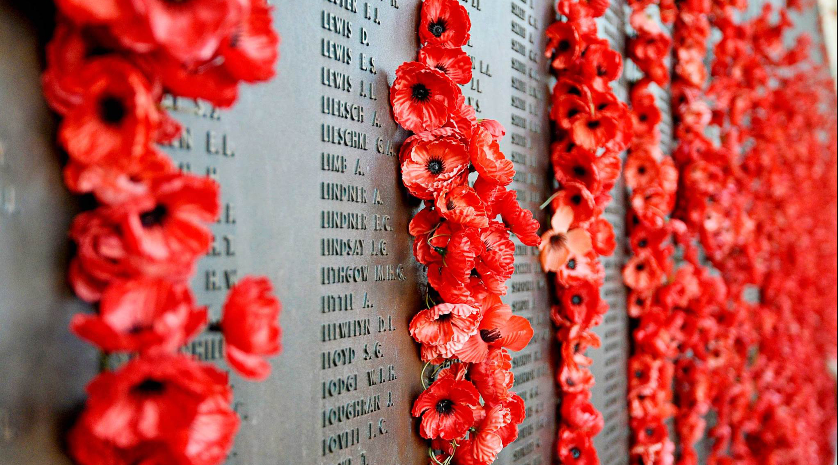Red poppies on Honour Roll