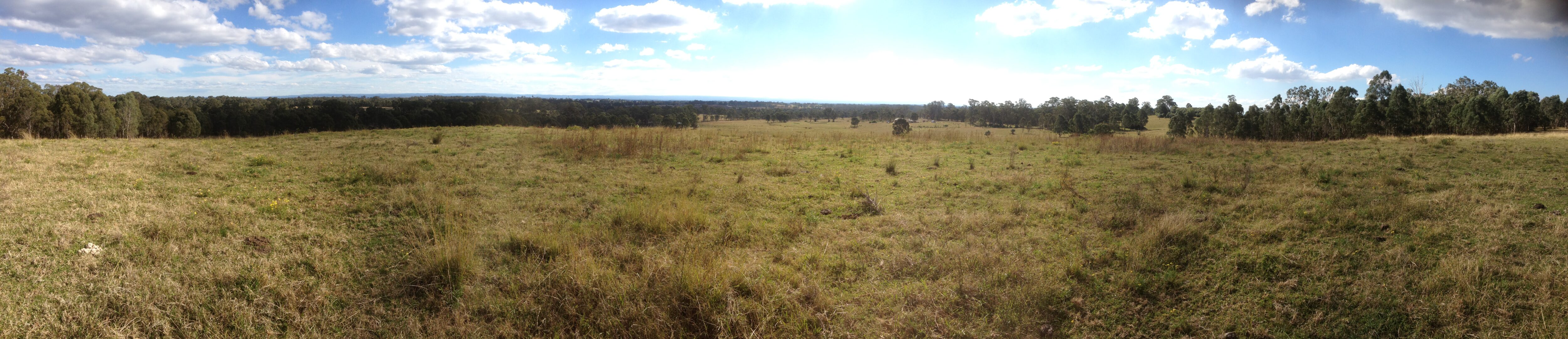 Panorama of Leppington