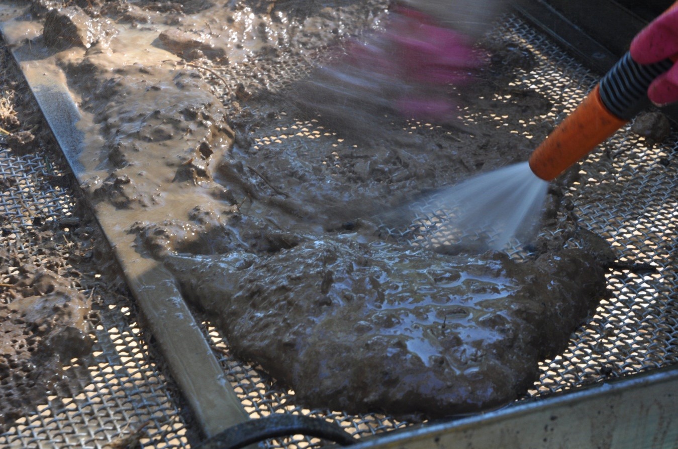 Wet sieving soil