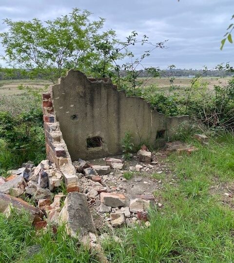 Building remains at Nerre Nerre Warren, Dandenong Police Paddocks.